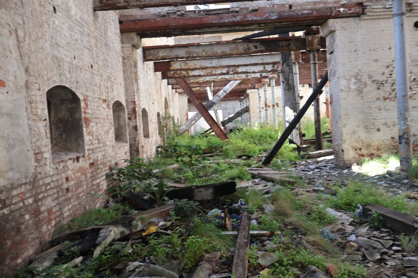 Collapsed timber roof structure with vegetation growing on the floor below